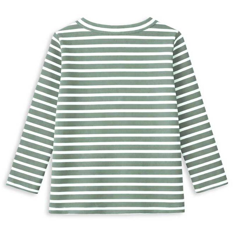 Milky Fern Stripe Henley image number 1